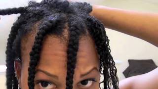 How to Do MiniTwists on Natural Hair Without Driving Yourself Crazy [upl. by Padegs]