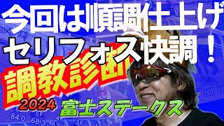 【2024調教診断 富士ステークス】金曜の雨の影響は少し心配ですが、おかまいなしで診断しました☆ [upl. by Nager]