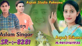 Aslam Singer SR 8281 जितलू दखू इनकी चर्चा होयAspak Studio PunhanaAspak dihanaDJ Remix Song [upl. by Aivatra]