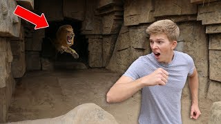 Exploring Secret Abandoned Zoo NOT SAFE [upl. by Galanti355]