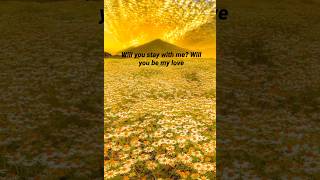 Fields of Gold lyrics  Eva Cassidy music lyrics song [upl. by Taka82]