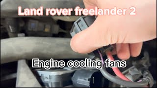 Land rover freelander 2 P0480 Cooling fan [upl. by Aisya]