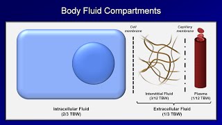 IV Fluids Lesson 1  Basic Principles [upl. by Ssew93]