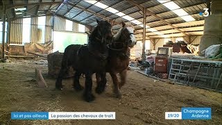 La passion des chevaux de trait à BeaumontenArgonne [upl. by Celeste649]