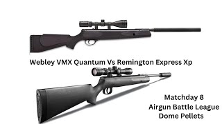 Webley VMX Quantum Vs Remington Express XP [upl. by Solorac]