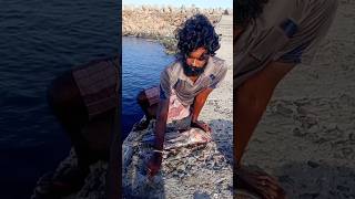 Young Man Using Big Fish to Catch Variety Fishes fishing fishingvideos thoondilulagam seafishing [upl. by Aminta]