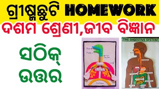 Class 10 Life Science  Summer Vacation Holiday Homework 2024 [upl. by Ayote]