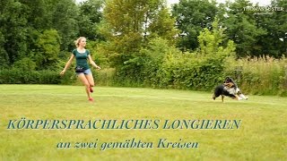 Körpersprachliches Longieren mit Hund  an 2 gemähten Kreisen  Milo  Thomas Suster [upl. by Reisman]