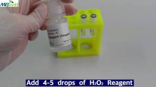 Catalase  Oxy Test [upl. by Guildroy]