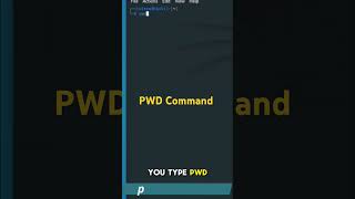 How to Use PWD Command  Linux Terminal Tutorial  Cybersecurity Essentials  Kali Linux [upl. by Kendell463]