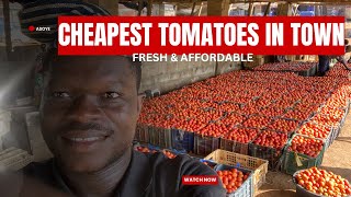 TOMATO MARKET TOUR  Prices amp Quality Check [upl. by Haon747]