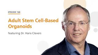 Adult Stem CellBased Organoids featuring Dr Hans Clevers  The Stem Cell Podcast [upl. by Arathorn713]