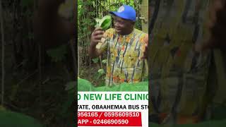 Essential Health Benefits of Cocoyam Leaves Kontomire 1 healthandfitness [upl. by Cirre]