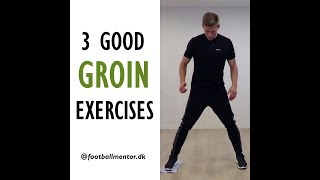 Groin Exercises  How To Treat A Groin Strain Injury [upl. by Nivart]