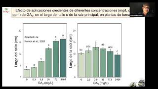 Uso de giberelinas [upl. by Reinwald460]