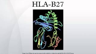 HLAB27 [upl. by Sheba]