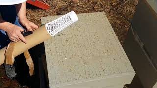 How to Install a Package of Honey Bees Arataki Tube [upl. by Eeralih]