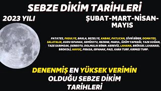 bu tarihleri kaçırmayın I ay takvimine göre en verimli sebze dikim zamanları 2023 yılı [upl. by Asiek23]