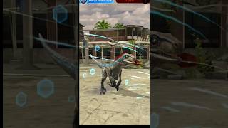 Troodon VS Beta  Jurassic World Alive dinosaur [upl. by Ydnih100]