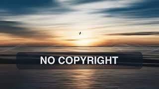 Hopeful  Song by The David Roy Collective No Copyright Music UpliftingHappyBusinessCinematic [upl. by Issie]