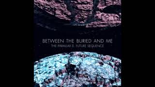 Between The Buried And Me  The Black Box Lyrics [upl. by Rosie]