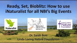 Ready Set Bioblitz How to use iNaturalist for all NBI’s Big Events [upl. by Phippen]