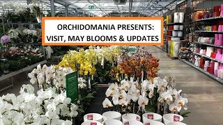 Orchidomania Presents Visit May Blooms and Updates [upl. by Enilrae]