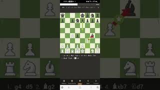 Chess Opening Lines Vol 4  The Grob Romford Counter Gambit [upl. by Araet]