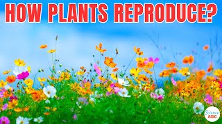 How Do Plants Reproduce [upl. by Ramso]