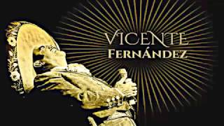 PARA LLORAR VICENTE FERNANDEZ [upl. by Irret]