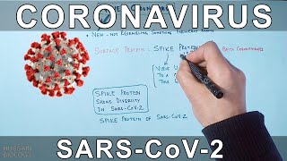 Coronavirus  SARS CoV2 [upl. by Yetsirhc150]