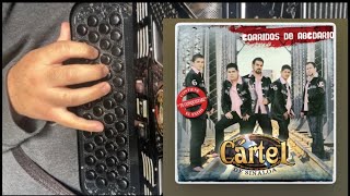 Escolta Personal  Grupo Cartel  Tutorial De Acordeon Con Adornos  fyp trend music tutorial [upl. by Frannie]