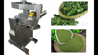 Moringa leaf powder mill grindertea leaf powder making machine  infobrightsailasiacom [upl. by Batruk]