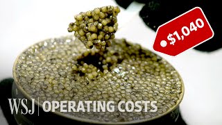 How to Run a 10 Million Caviar Farm  WSJ Operating Costs [upl. by Harutak]