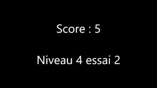 Epreuve de Corsi pour autoévaluation [upl. by Ajram]