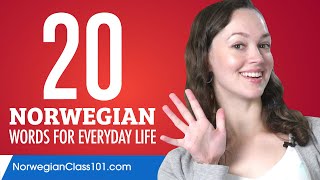 20 Norwegian Words for Everyday Life  Basic Vocabulary 1 [upl. by Honebein]