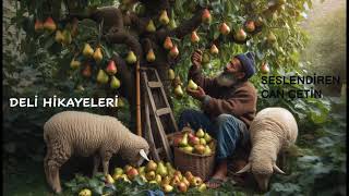 DELİ HİKAYELERİ  GÜLÜMSETEN HİKAYELER [upl. by Yentnuoc]