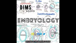 10 Embryology [upl. by Jason]