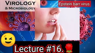 epstein barr virus microbiology epstein barr virus pathogenesis epstein barr virus VIROLOGY [upl. by Yttik945]