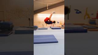 Ich mache die TRICKS meiner FREUNDIN nach🥵 Turnen Salto backflip [upl. by Shena]