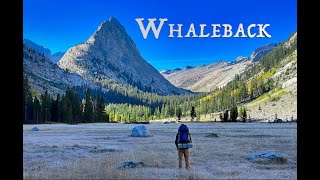 Whaleback  One of the Most Striking and Remote Peaks in the Sierra [upl. by Sitoiganap]