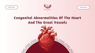 Congenital Abnormalities Of The Heart And The Great Vessels  Anatomy [upl. by Philbin]