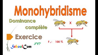 Exercice Monohybridisme  dominance complète [upl. by Collins]