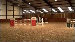 Dutch sporthorses  Athene lancelot x Goodtimes video [upl. by Pamela414]