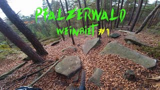 Pfälzerwald Trails im geilsten Wald Deutschlands Part 1 [upl. by Vial434]