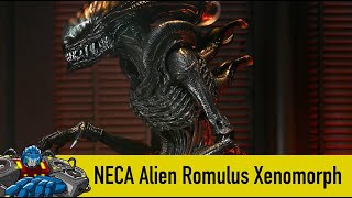 NECA Alien Romulus Xenomorph amp Accessories [upl. by Nurse936]