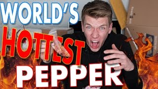 Tasting WORLDS HOTTEST PEPPER Challenge  Collins Key Taste Testing [upl. by Shanon100]