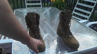 Danner Tanicus Hot Weather Boots  wildernesstactical boots for the summer [upl. by Alyahs]