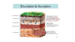 Process of Soil Formation Soil science 12 [upl. by Borchert]