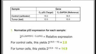 Real Time QPCR Data Analysis Tutorial part 2 [upl. by Ivette]